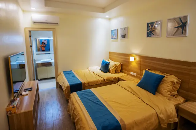 Deluxe Twin Room with two single beds